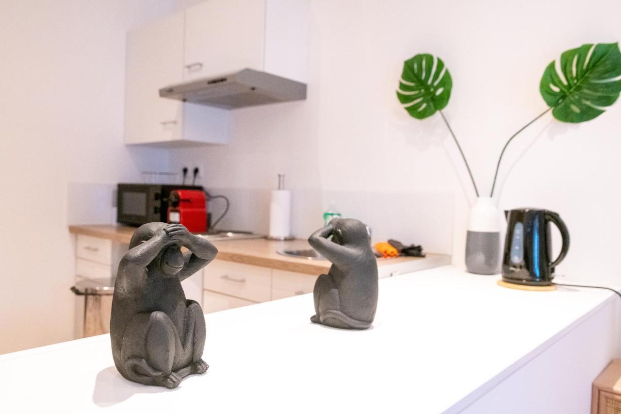Cosy Location - Confortable, Cosy Et Equipe - Places Gratuites A Proximite Anzin 外观 照片